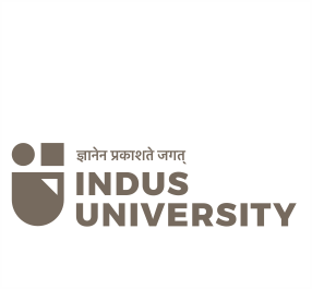 Indus University