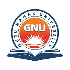 Guru Nanak University
