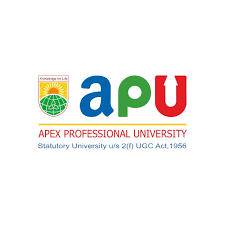 Apex Professional University